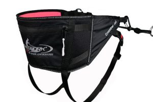 Baudrier Canicross Comment Choisir Le Bon Mod Le - Sport canin - Test et avis