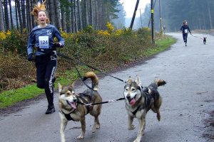 Canicross Le Guide Complet Pour Courir Avec Son Ch - Sport canin - Test et avis