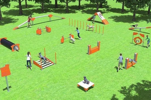 Les Mots De L Agility - Sport canin - Test et avis