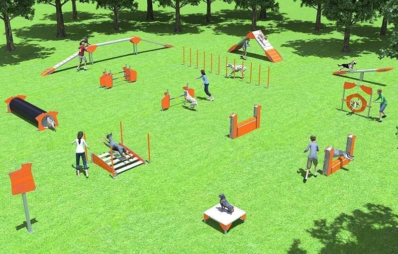 Les Mots De L Agility - Sport canin - Test et avis