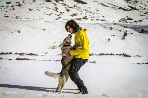 Ob Issance Les Commandes Essentielles Pour Pratiqu - Sport canin - Test et avis