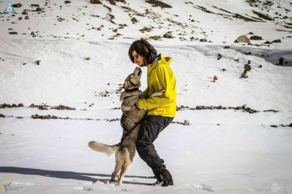 Ob Issance Les Commandes Essentielles Pour Pratiqu - Sport canin - Test et avis