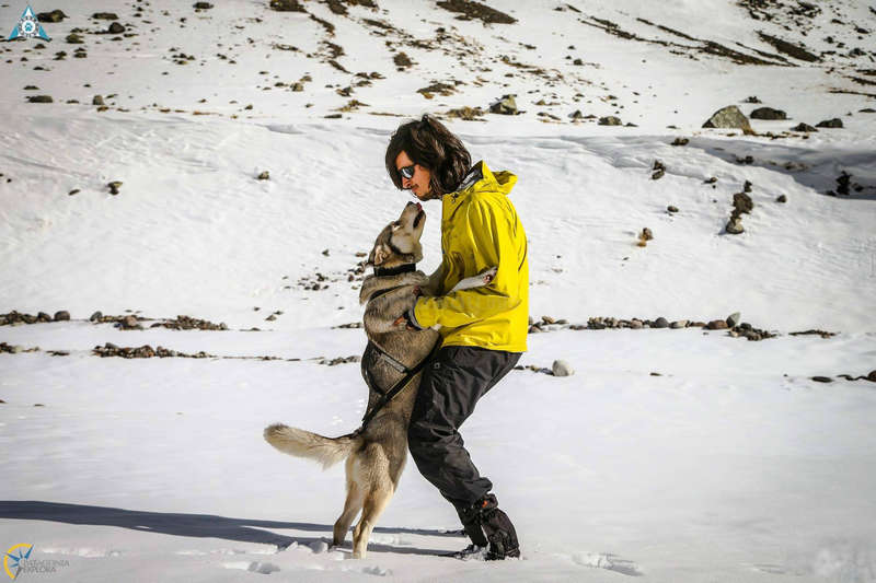 Ob Issance Les Commandes Essentielles Pour Pratiqu - Sport canin - Test et avis