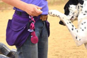 Snacks D Entra Nement Quelles Friandises Pour Moti - Sport canin - Test et avis