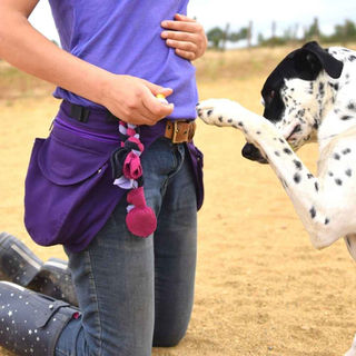 Snacks D Entra Nement Quelles Friandises Pour Moti - Sport canin - Test et avis