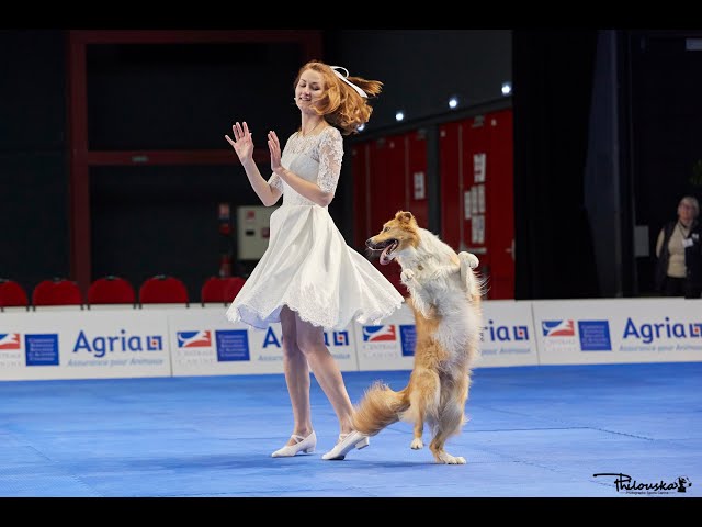 Dog Dancing World Championship 2022, Anastasiia Beaumont and ...