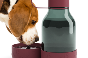 Dog & Pet Water Bottle