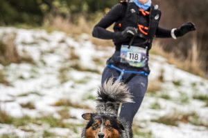 Choisir Un Chien Pour Le Canitrail - Sport canin - Test et avis