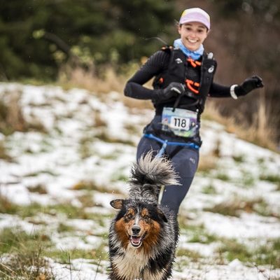 Choisir Un Chien Pour Le Canitrail - Sport canin - Test et avis