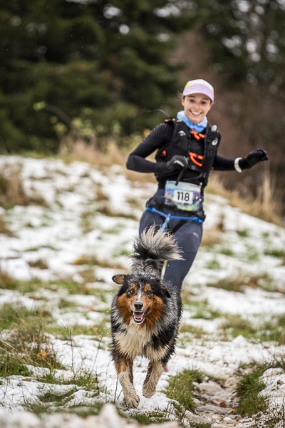 Choisir Un Chien Pour Le Canitrail - Sport canin - Test et avis