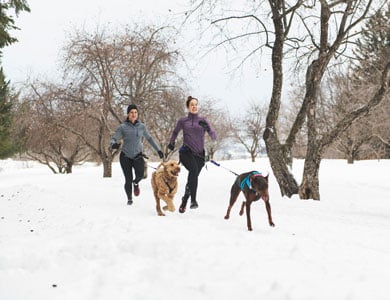 Les Meilleurs Equipements Pour Courir Avec Son Chi - Sport canin - Test et avis