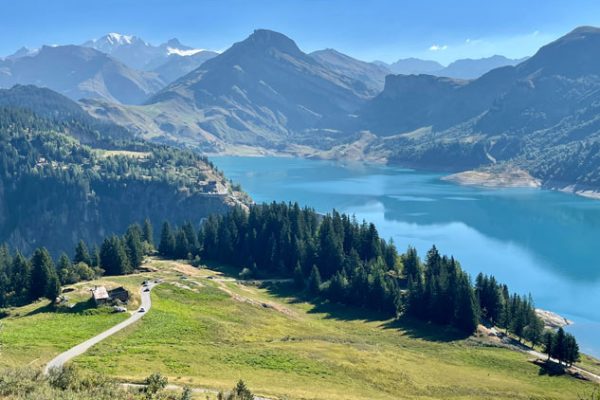 Les Meilleurs Sentiers De Canirando En France Guid - Sport canin - Test et avis