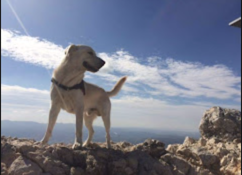 a-partir-de-combien-de-km-c-8217-est-trop-force-po