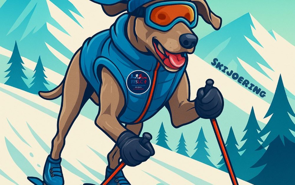 Championnat de France Neige 2026